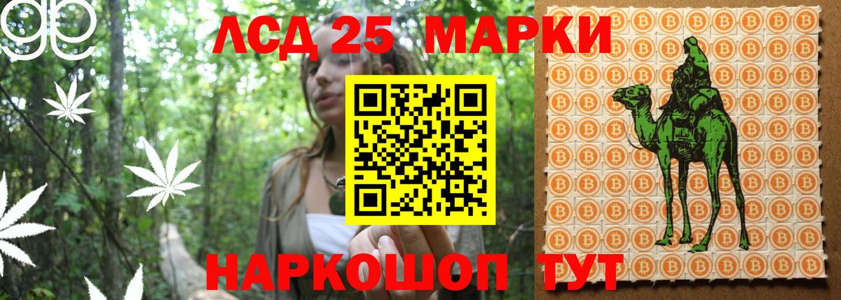 Наркотические марки 1500мкг  как найти закладки  Кызыл  Вход с VPN  Наркотические марки 1500мкг 