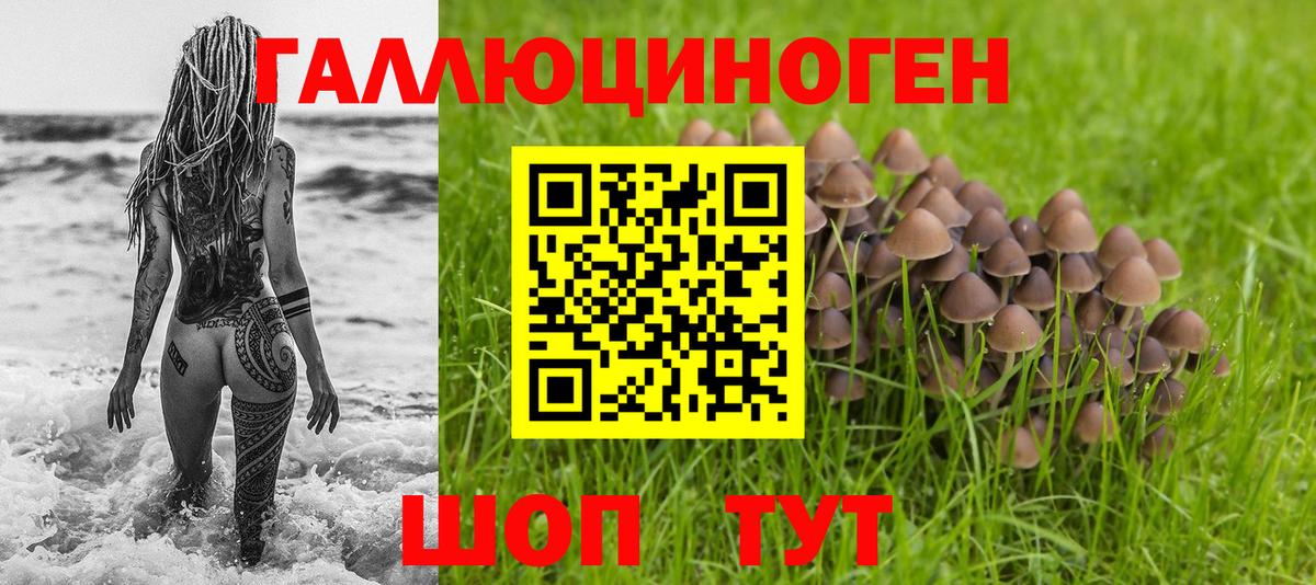 Псилоцибиновые грибы мицелий Кызыл