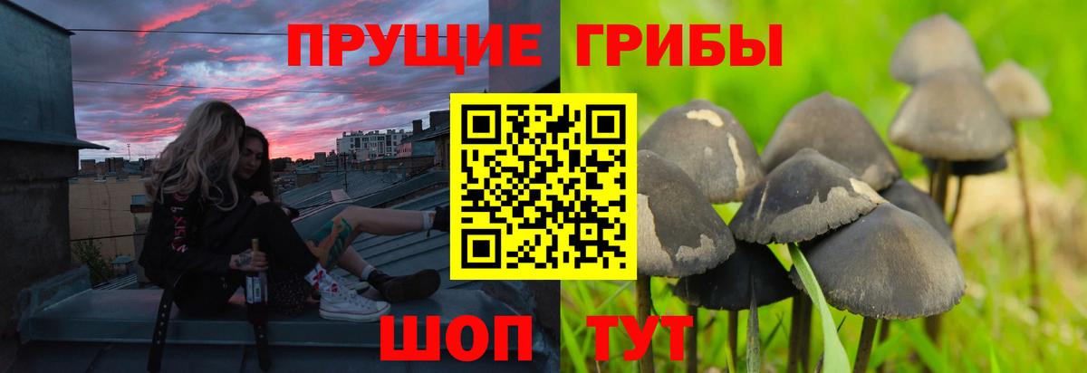 Галлюциногенные грибы прущие грибы  Вход с VPN  Кызыл 